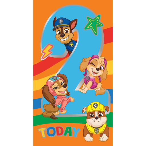 Picture of 2 TODAY PAW PATROL BIRTHDAY CARD